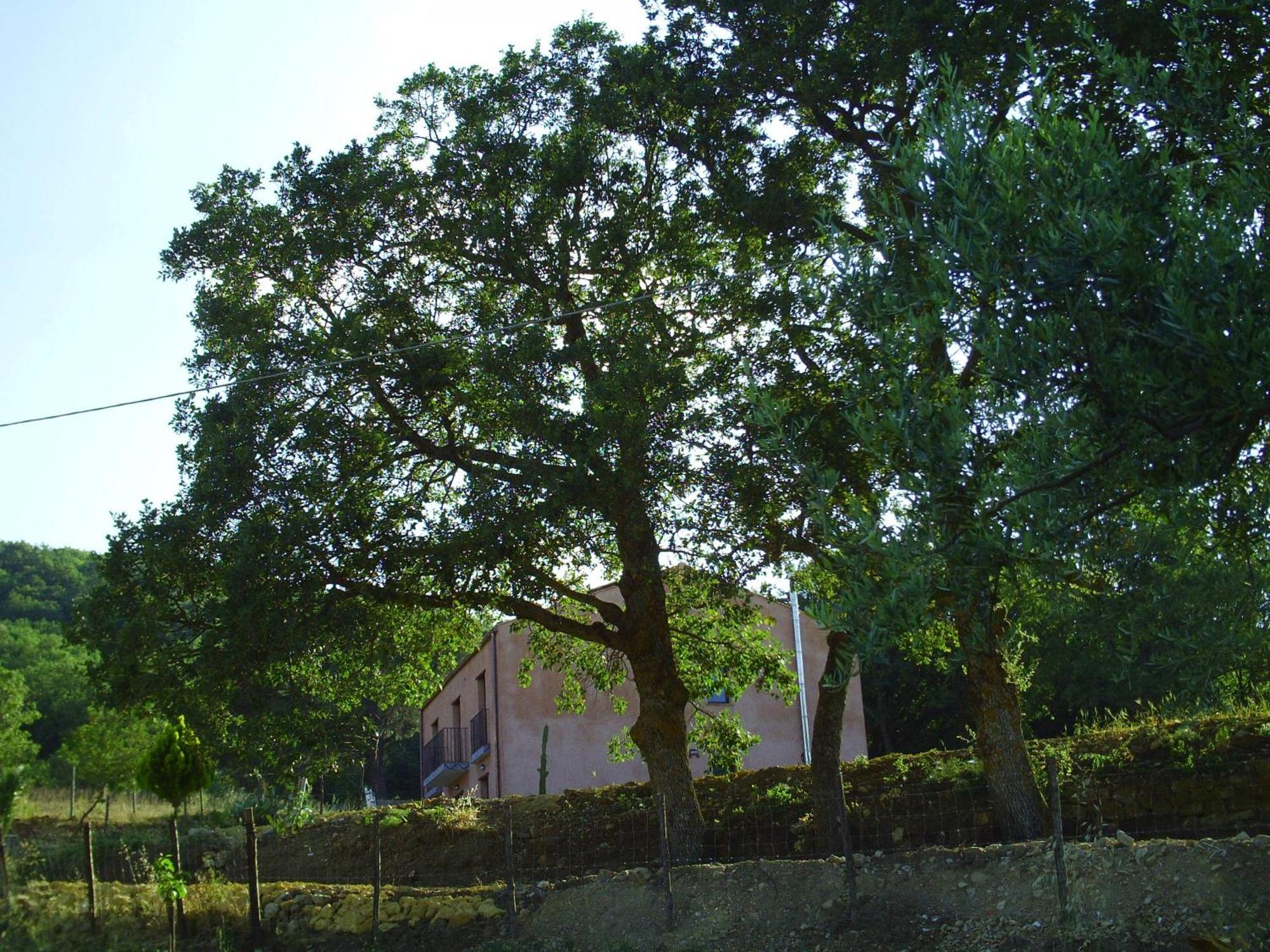 Agriturismo San Pietro กานจิ ภายนอก รูปภาพ