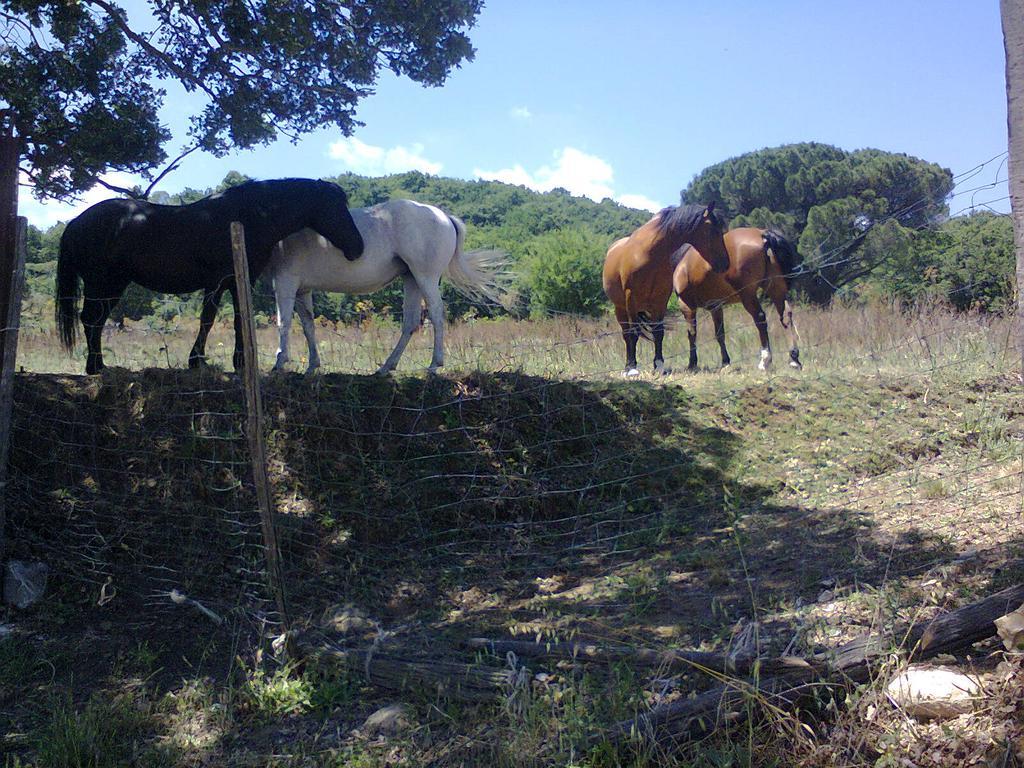 Agriturismo San Pietro กานจิ ภายนอก รูปภาพ