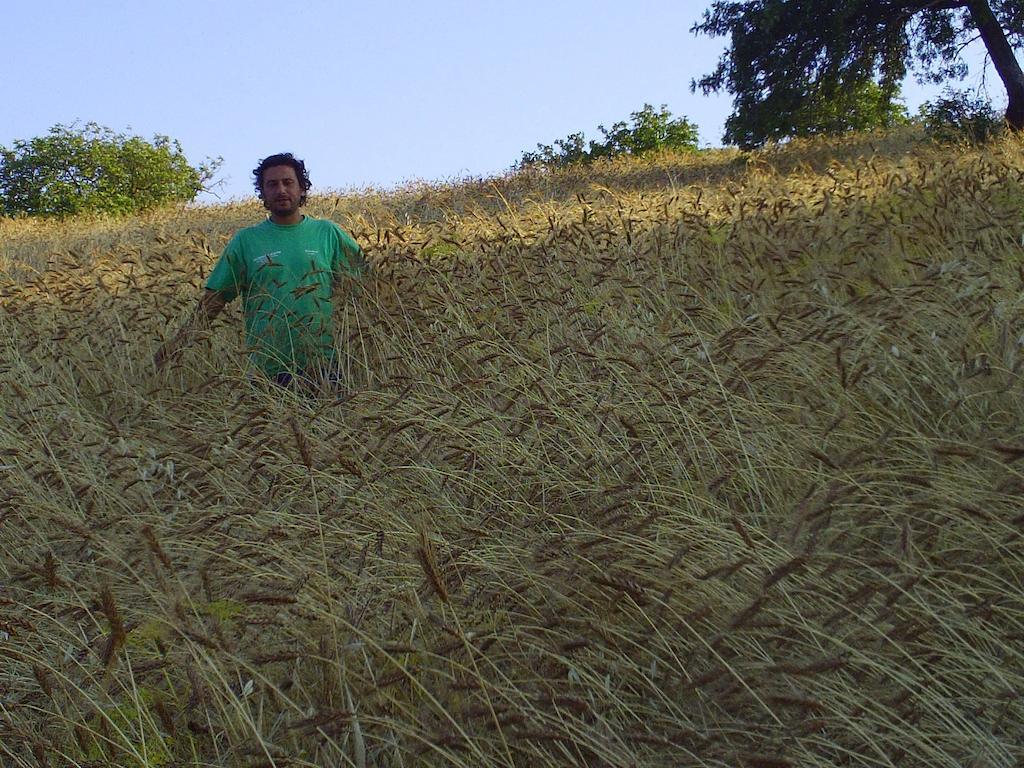 Agriturismo San Pietro กานจิ ภายนอก รูปภาพ