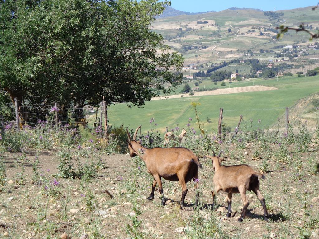 Agriturismo San Pietro กานจิ ภายนอก รูปภาพ