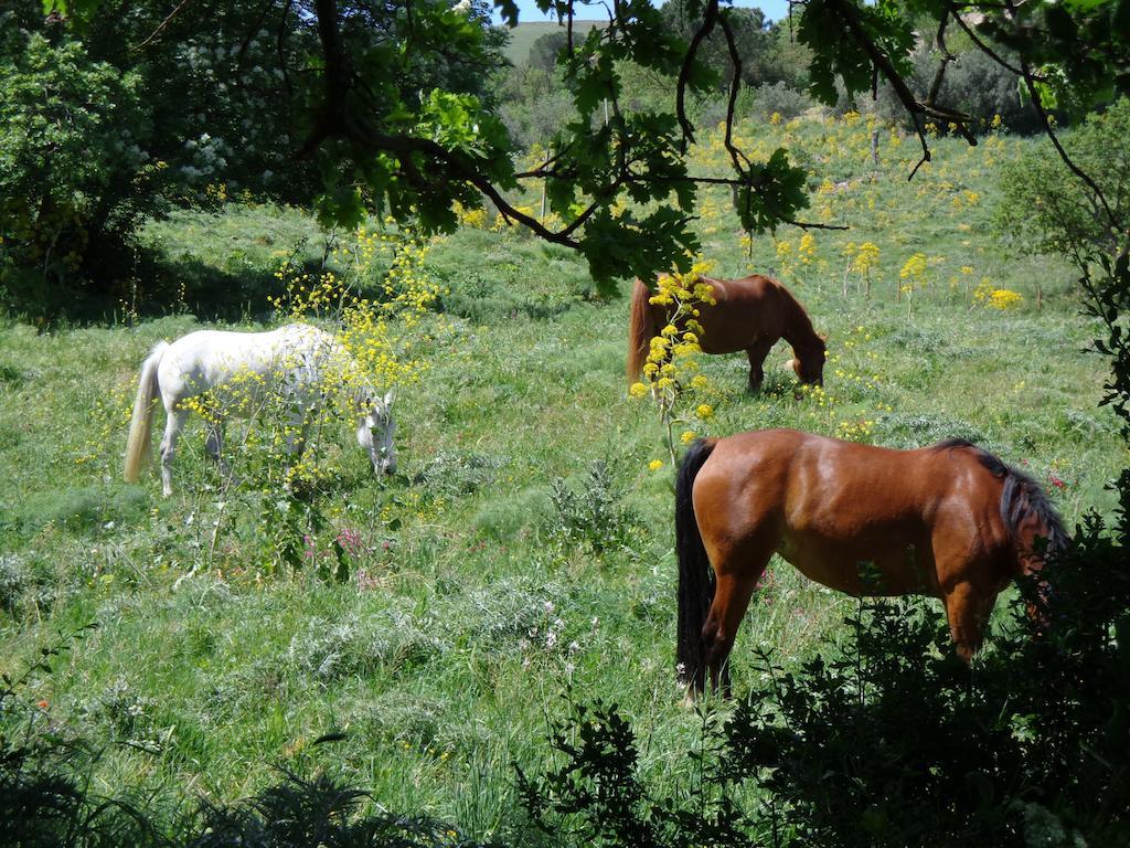 Agriturismo San Pietro กานจิ ภายนอก รูปภาพ