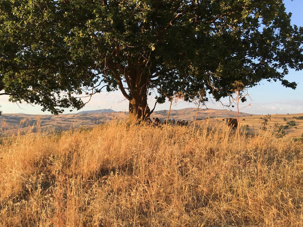 Agriturismo San Pietro กานจิ ภายนอก รูปภาพ
